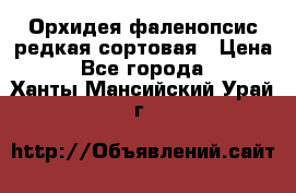 Орхидея фаленопсис редкая сортовая › Цена ­ 800 - Все города  »    . Ханты-Мансийский,Урай г.